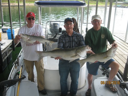 Nice Striped Bass